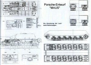 maus_bp_2 maus_bp_2