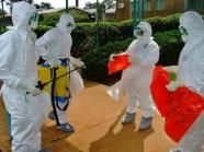 ebola workers ebola workers