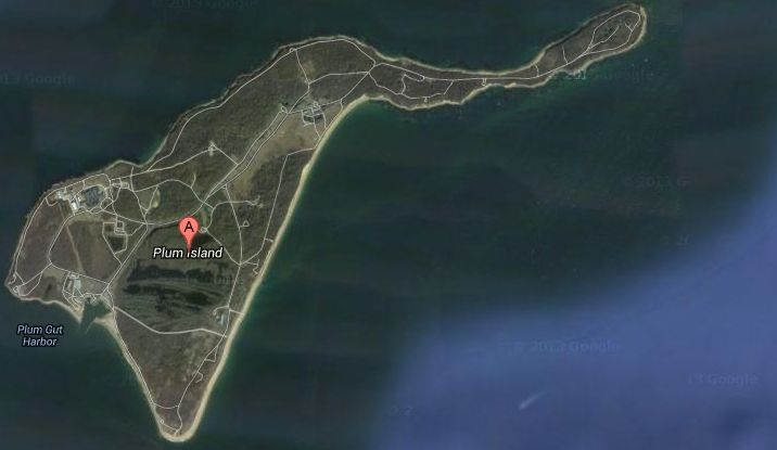 plum island