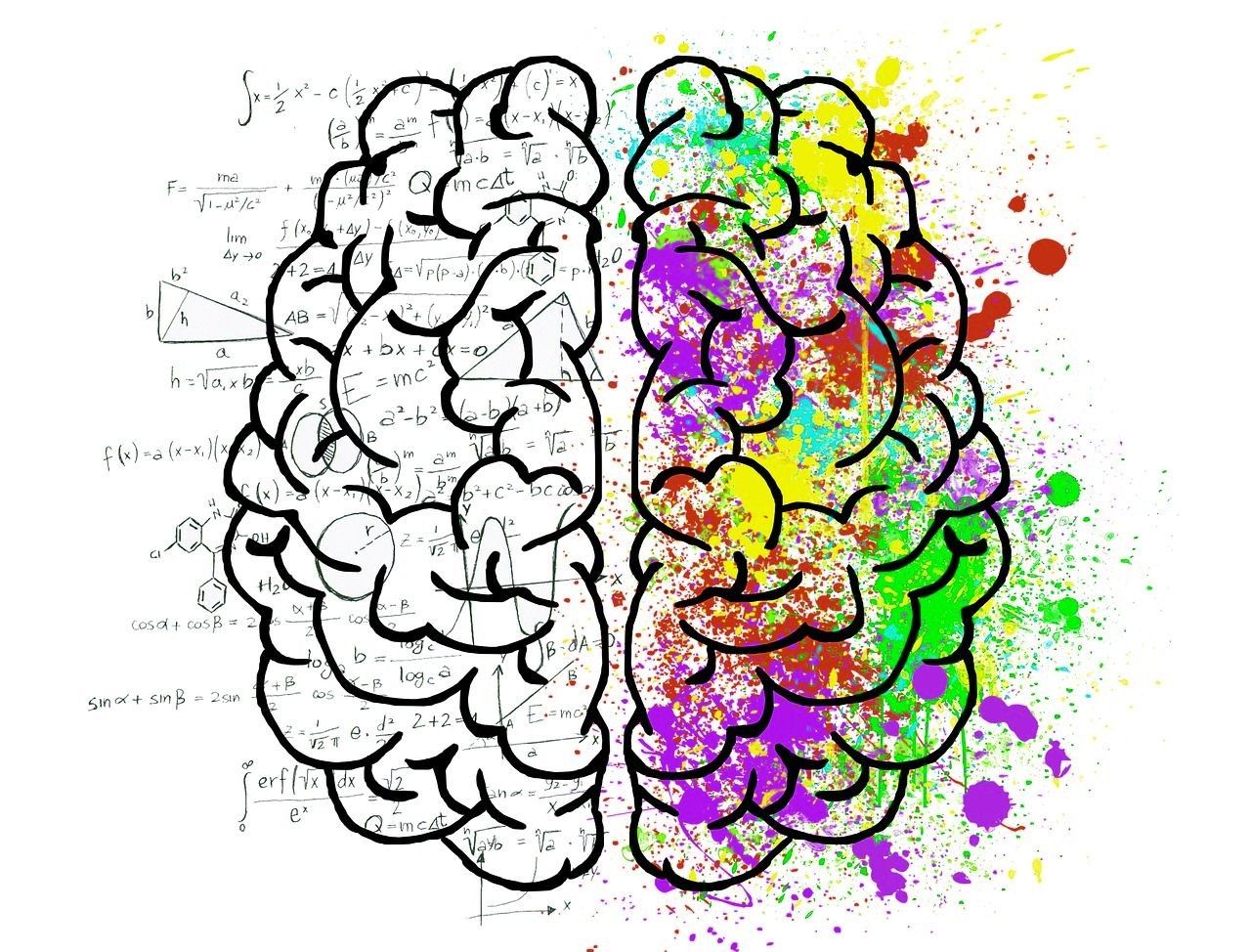 Can Behavior Be Predicted Using Formulas?