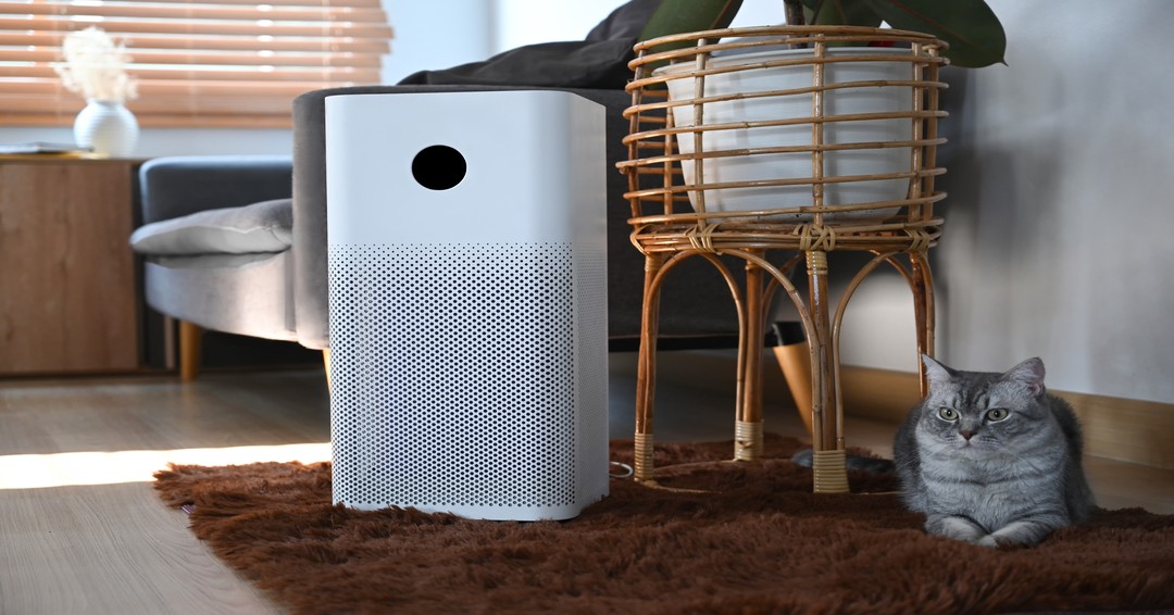 Clearing the Air: The Modern Benefits of Home Air Purifiers