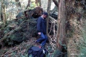 Aokigahara Forest -the sea of trees and souls- a revisit