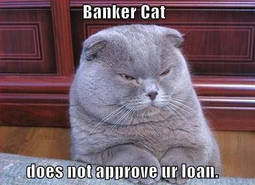 Bankercat Does Not Approve Your Loan