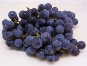 Concord Grapes