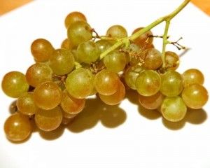 Muscat Grapes