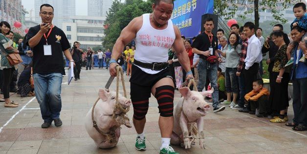 One chinese man trying to lift two large pigs