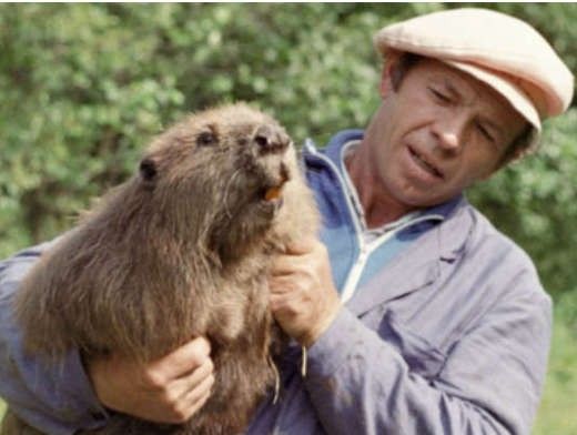 Beaver kills fisherman